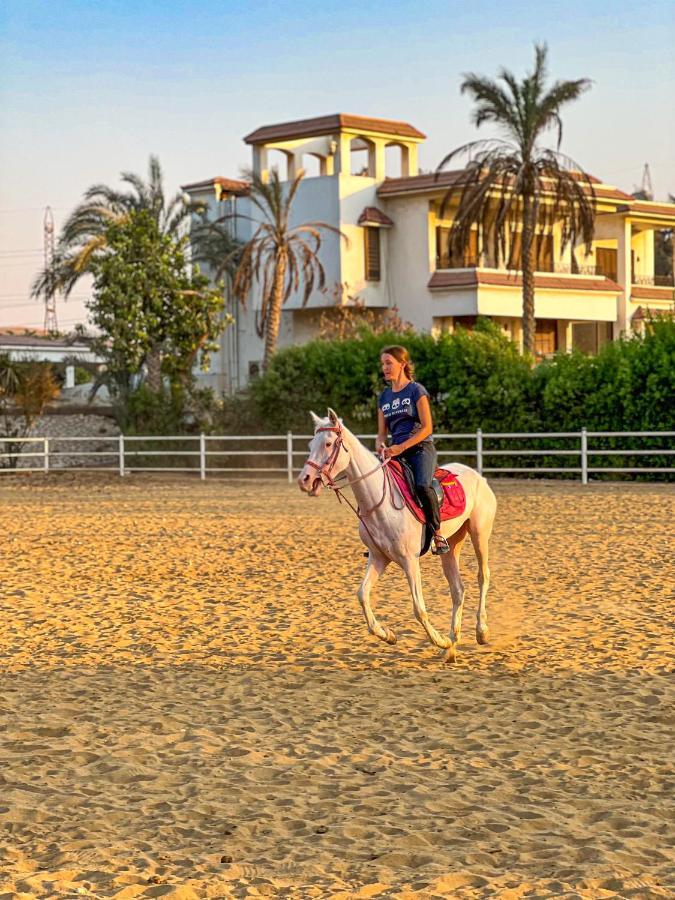 Отель Sakkara Country Club Giza Экстерьер фото